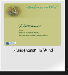 Hundenasen im Wind