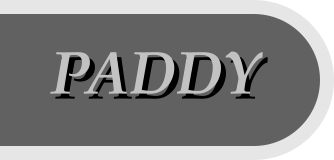 PADDY
